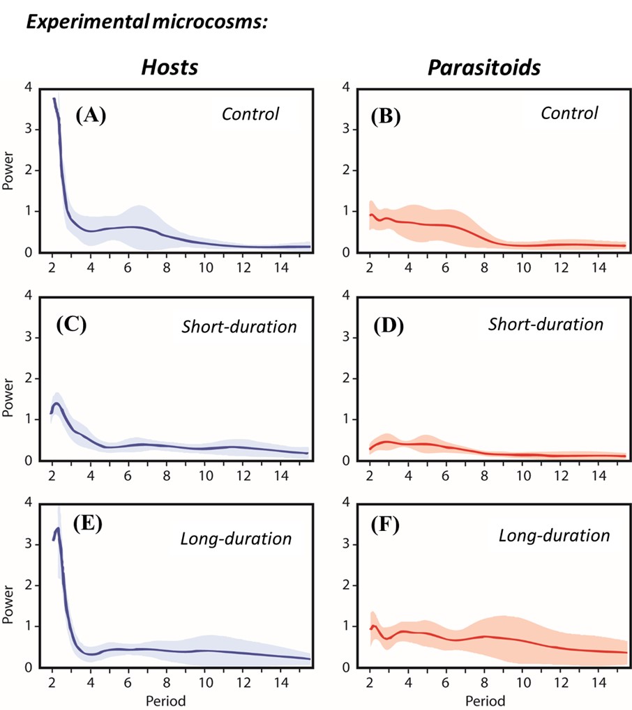 Mean global wavelet spectrums